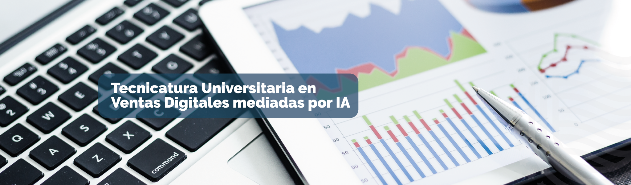 Tecnicatura Universitaria en Ventas Digitales mediadas por IA
