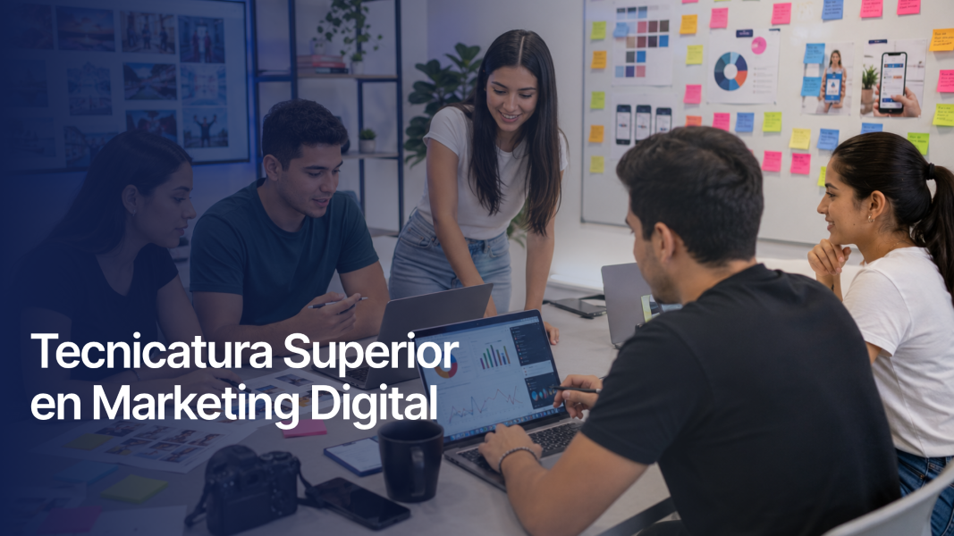 Tecnicatura Superior en Marketing Digital