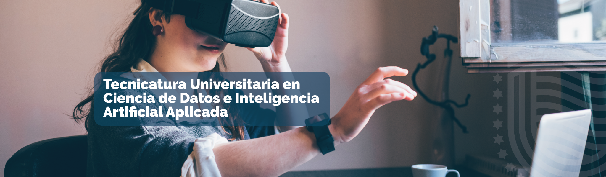 Tecnicatura Universitaria en Ciencia de Datos e Inteligencia Artificial Aplicada