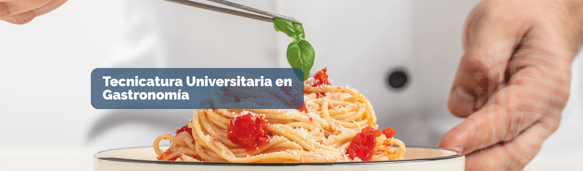 Tecnicatura Universitaria en Gastronomía