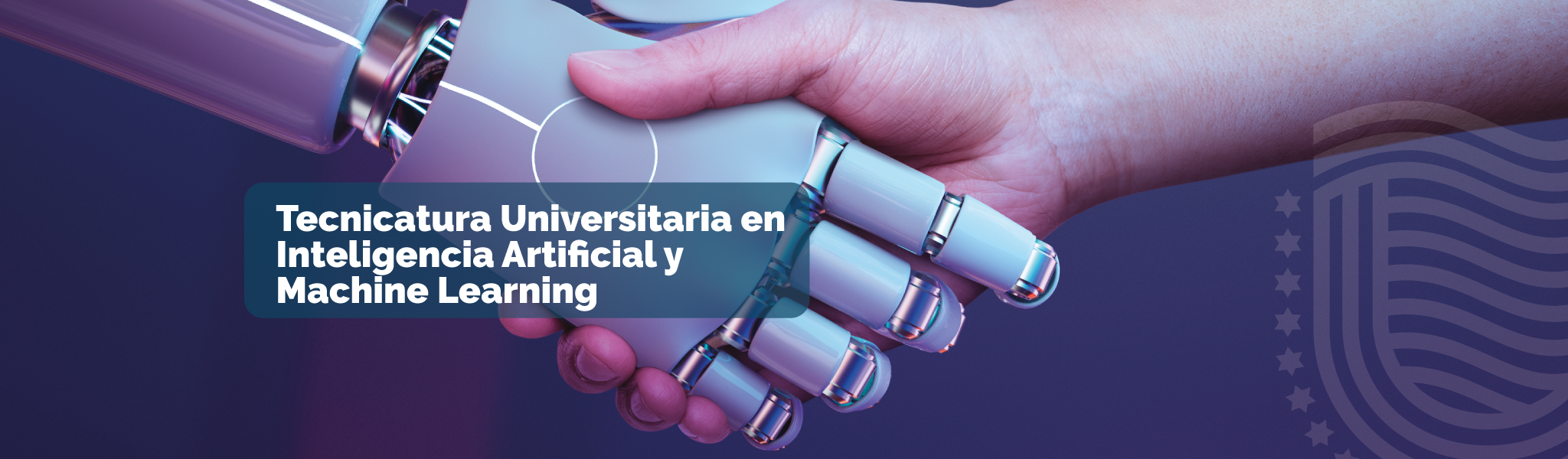 Tecnicatura Universitaria en Inteligencia Artificial y Machine Learning