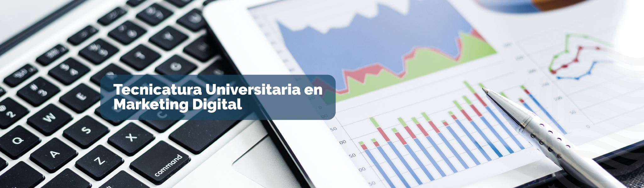 Tecnicatura Universitaria en Marketing Digital