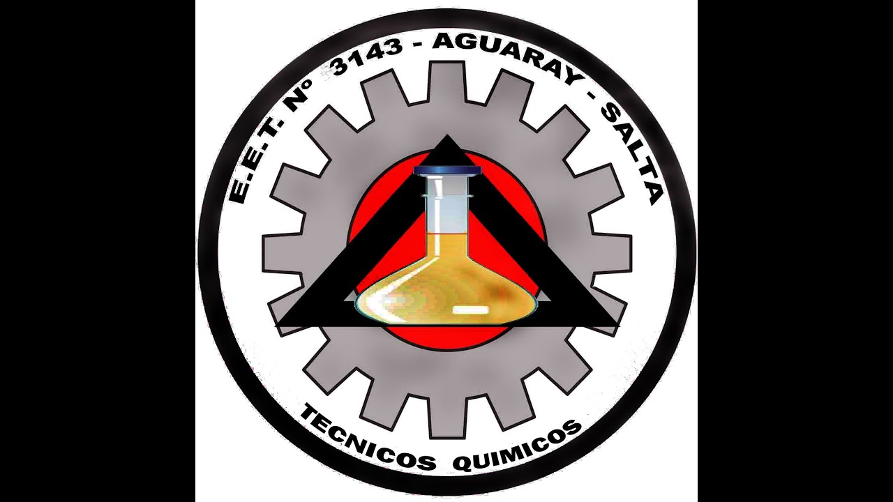 TÉCNICO QUÍMICO